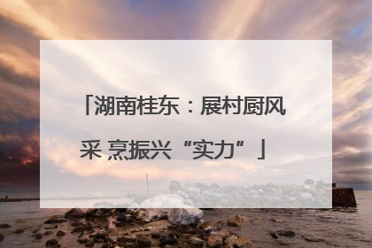 湖南桂东：展村厨风采 烹振兴“实力”