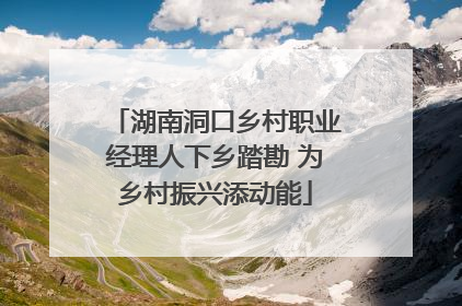 湖南洞口乡村职业经理人下乡踏勘 为乡村振兴添动能