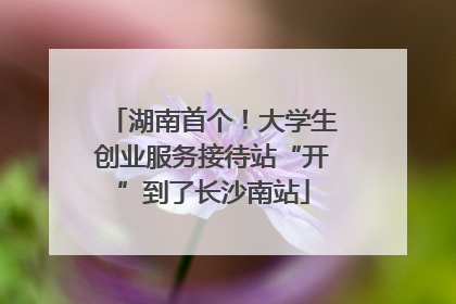 湖南首个！大学生创业服务接待站“开”到了长沙南站