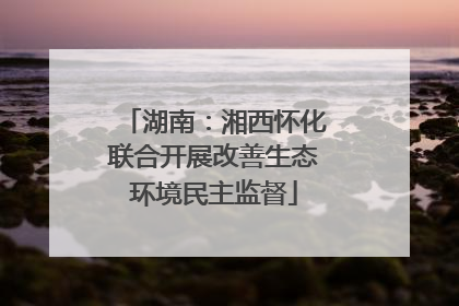 湖南：湘西怀化联合开展改善生态环境民主监督