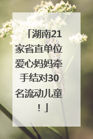 湖南21家省直单位爱心妈妈牵手结对30名流动儿童！