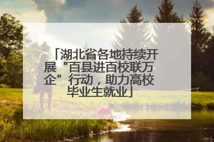 湖北省各地持续开展“百县进百校联万企”行动，助力高校毕业生就业