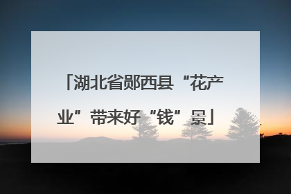 湖北省郧西县“花产业”带来好“钱”景
