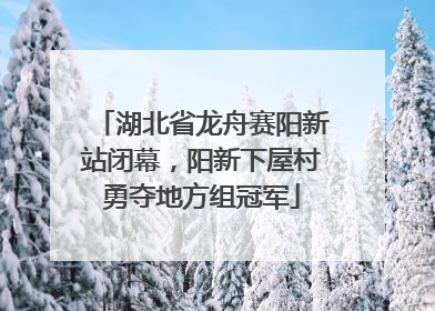 湖北省龙舟赛阳新站闭幕，阳新下屋村勇夺地方组冠军