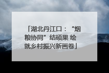 湖北丹江口：“烟粮协同”结硕果 绘就乡村振兴新画卷
