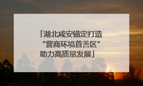 湖北咸安锚定打造“营商环境首善区”助力高质量发展