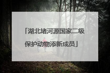 湖北堵河源国家二级保护动物添新成员