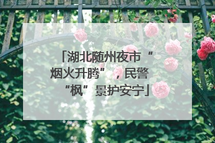 湖北随州夜市“烟火升腾”，民警“枫”景护安宁