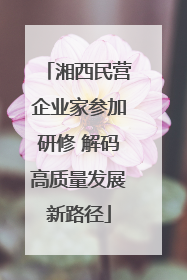 湘西民营企业家参加研修 解码高质量发展新路径