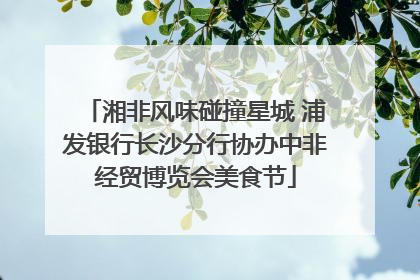 湘非风味碰撞星城 浦发银行长沙分行协办中非经贸博览会美食节