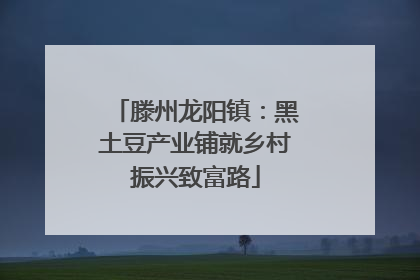 滕州龙阳镇：黑土豆产业铺就乡村振兴致富路