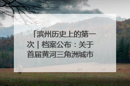 滨州历史上的第一次｜档案公布：关于首届黄河三角洲城市经济博览会暨发展论坛情况的总结报告