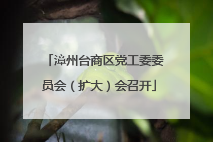 漳州台商区党工委委员会（扩大）会召开