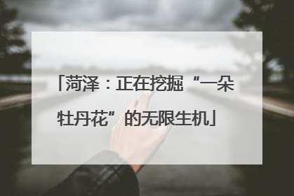 菏泽：正在挖掘“一朵牡丹花”的无限生机