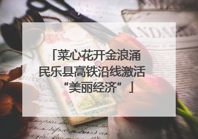 菜心花开金浪涌 民乐县高铁沿线激活“美丽经济”