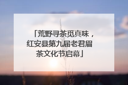 荒野寻茶觅真味，红安县第九届老君眉茶文化节启幕