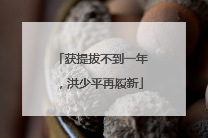 获提拔不到一年，洪少平再履新