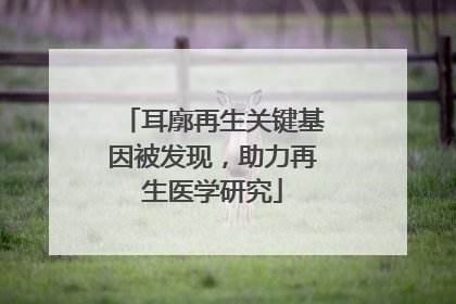 耳廓再生关键基因被发现，助力再生医学研究