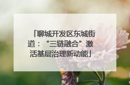聊城开发区东城街道：“三链融合”激活基层治理新动能
