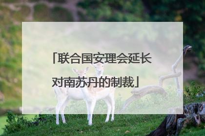 联合国安理会延长对南苏丹的制裁