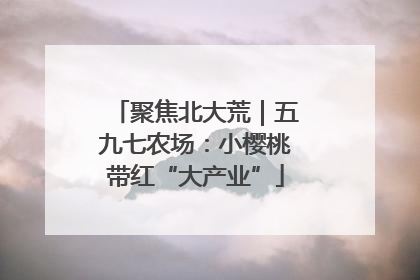 聚焦北大荒｜五九七农场：小樱桃带红“大产业”
