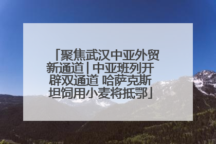 聚焦武汉中亚外贸新通道│中亚班列开辟双通道 哈萨克斯坦饲用小麦将抵鄂
