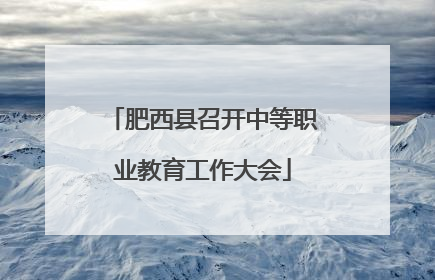 肥西县召开中等职业教育工作大会