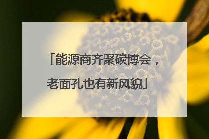 能源商齐聚碳博会，老面孔也有新风貌