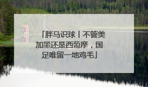 胖马识球丨不管美加墨还是西葡摩，国足唯留一地鸡毛