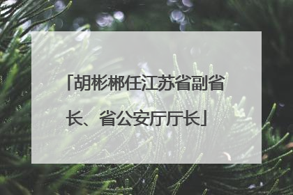 胡彬郴任江苏省副省长、省公安厅厅长