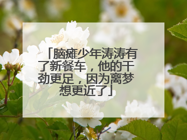 脑瘫少年涛涛有了新餐车，他的干劲更足，因为离梦想更近了
