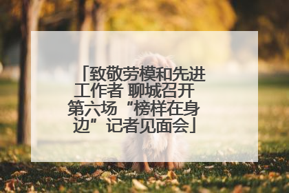致敬劳模和先进工作者 聊城召开第六场“榜样在身边”记者见面会