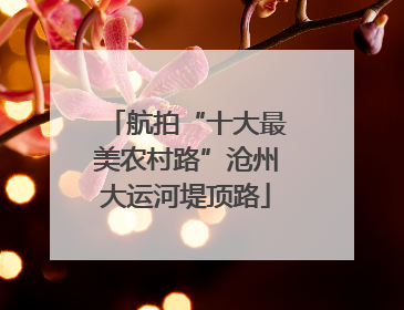 航拍“十大最美农村路”沧州大运河堤顶路
