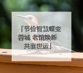 节俭智慧蝶变蓉城 老馆焕新共襄世运