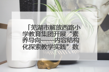 芜湖市解放西路小学教育集团开展“素养导向——内容结构化探索教学实践”数学专题研讨活动