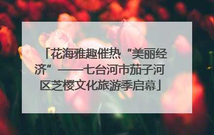 花海雅趣催热“美丽经济”——七台河市茄子河区芝樱文化旅游季启幕