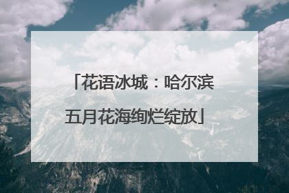 花语冰城：哈尔滨五月花海绚烂绽放