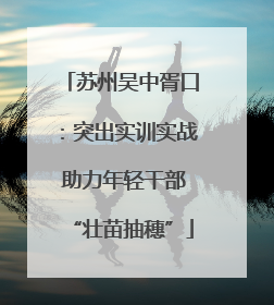 苏州吴中胥口：突出实训实战 助力年轻干部“壮苗抽穗”