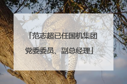 范志超已任国机集团党委委员、副总经理