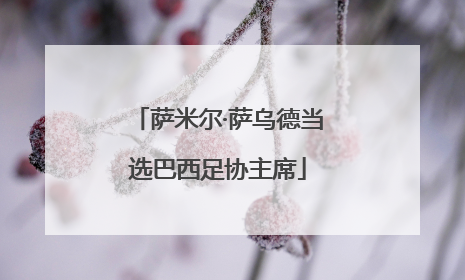 萨米尔·萨乌德当选巴西足协主席