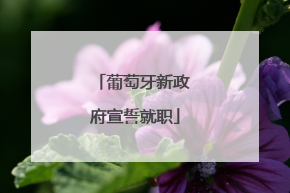 葡萄牙新政府宣誓就职