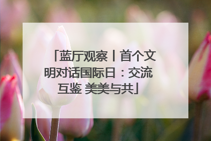 蓝厅观察丨首个文明对话国际日：交流互鉴 美美与共
