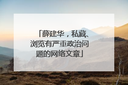 薛建华，私藏、浏览有严重政治问题的网络文章