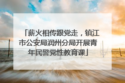 薪火相传跟党走，镇江市公安局润州分局开展青年民警党性教育课