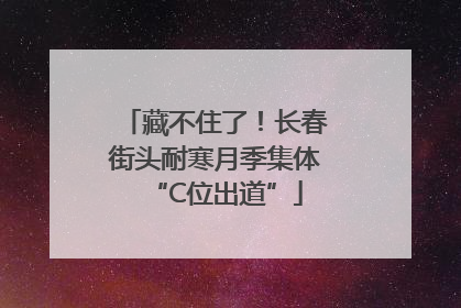 藏不住了！长春街头耐寒月季集体“C位出道”