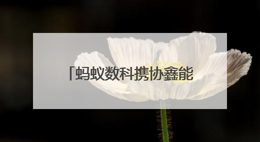 蚂蚁数科携协鑫能科成立蚂蚁鑫能 推进能源智能化