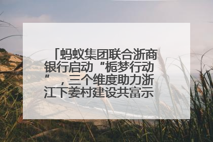 蚂蚁集团联合浙商银行启动“栀梦行动”，三个维度助力浙江下姜村建设共富示范区示范点