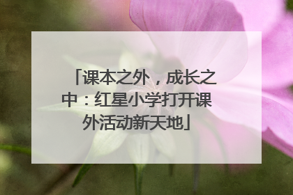 课本之外，成长之中：红星小学打开课外活动新天地