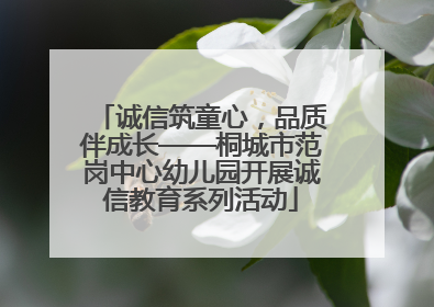 诚信筑童心，品质伴成长——桐城市范岗中心幼儿园开展诚信教育系列活动