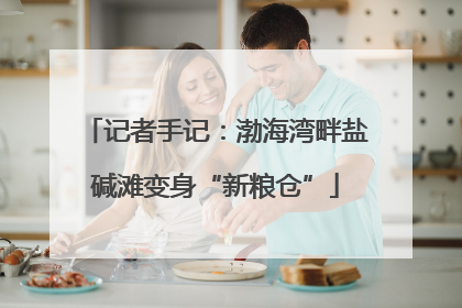 记者手记：渤海湾畔盐碱滩变身“新粮仓”
